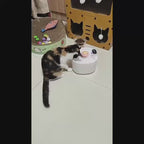 Automatic Circulating Pet Water Fountain