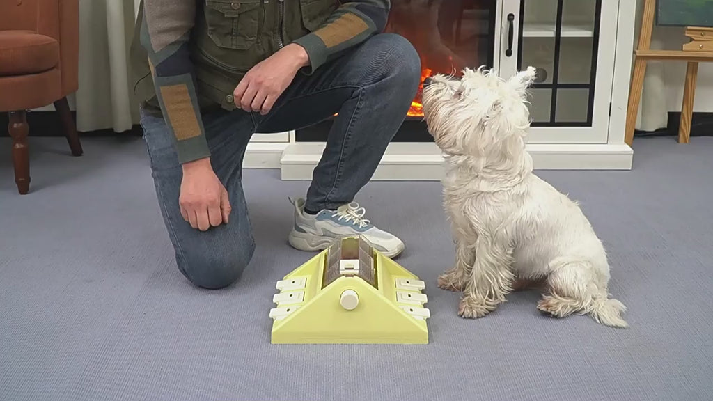 Interactive Dog Puzzle Treat Dispenser & Snuffle Training Toy