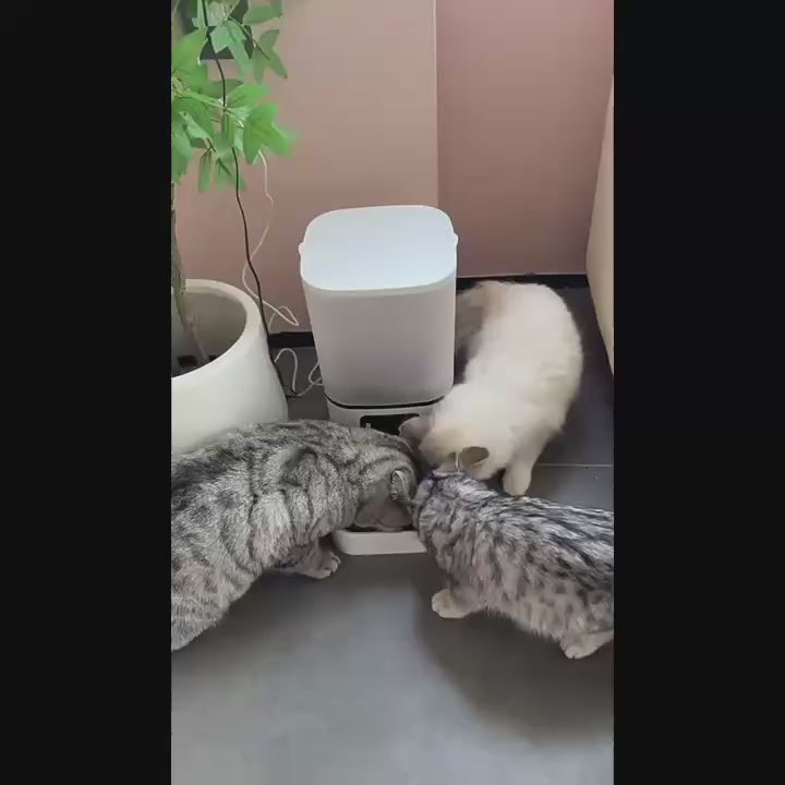 Smart Automatic Pet Feeder with Video & Two-Way Voice