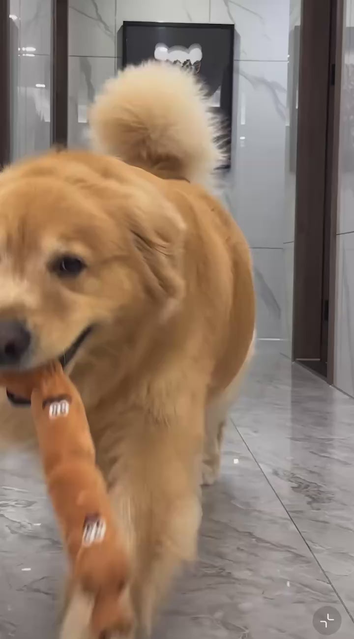 Dachshund Squeaky Chew Toy – Durable Teething Toy for Dogs