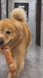 Dachshund Squeaky Chew Toy – Durable Teething Toy for Dogs