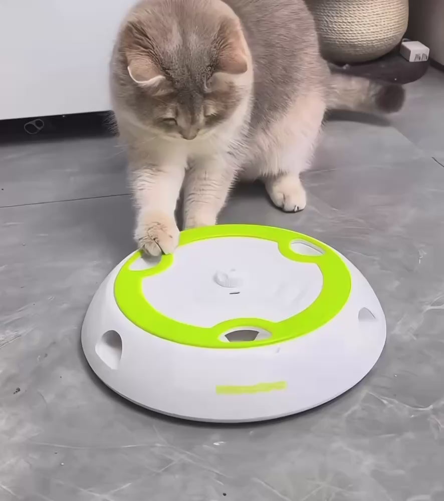 Automatic Whack-A-Mole Cat Toy – Interactive Electric Fun
