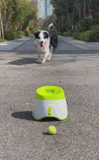 Best-Selling Automatic Dog Ball Launcher