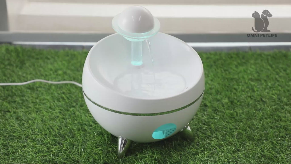 Smart Filtered Water Fountain for Dogs & Cats