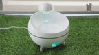 Smart Filtered Water Fountain for Dogs & Cats